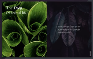 Fluxus two part image slider